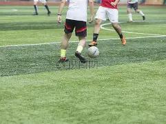 朝鲜,球惜败乌兹,别克斯坦,OD,OD,OD体育入口,OD官网,OD体育APP下载