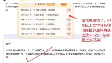 “布里斯班赛四强名单无德约科维奇身影，央视体育报道”